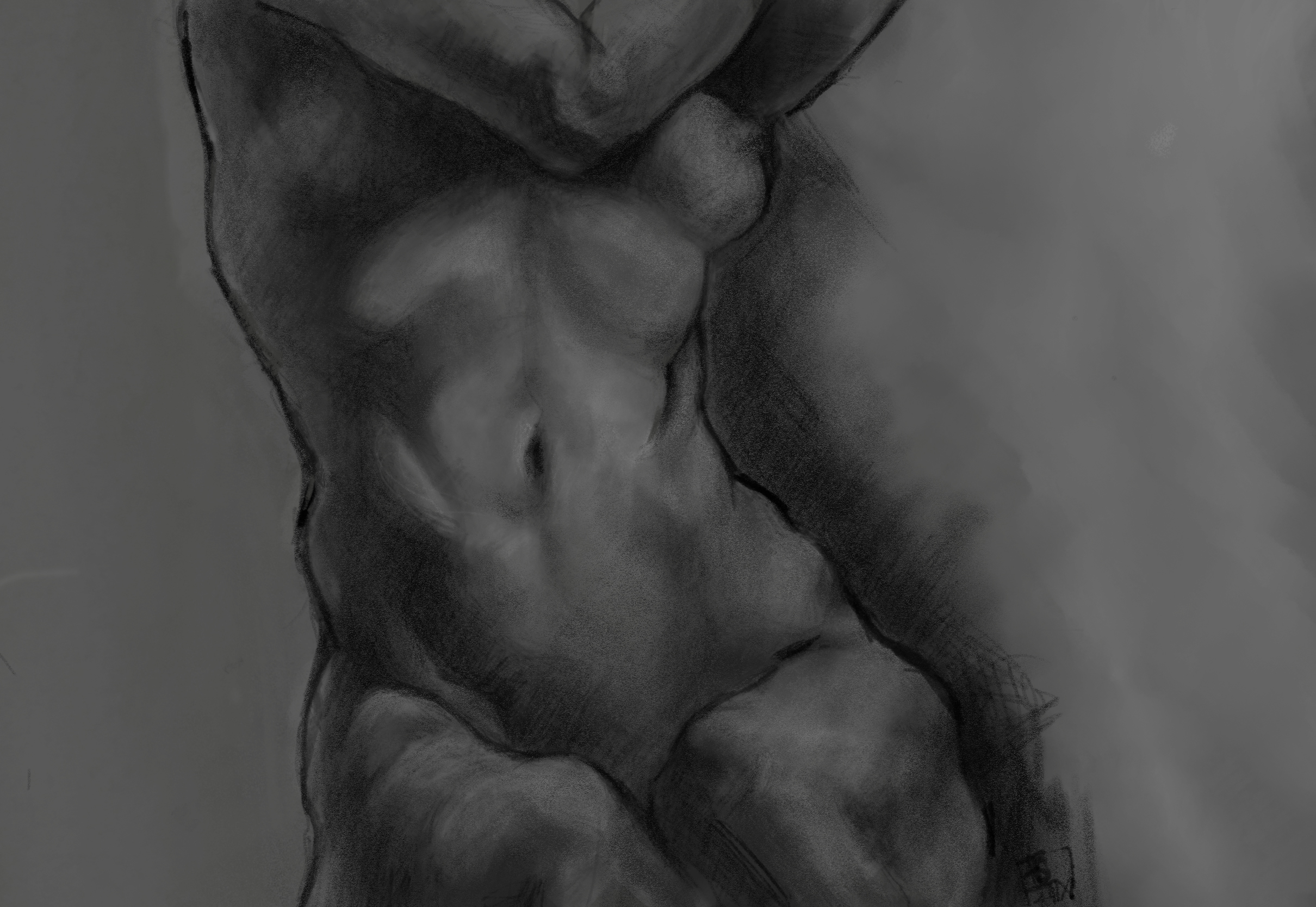 Fenchel – Aquarell