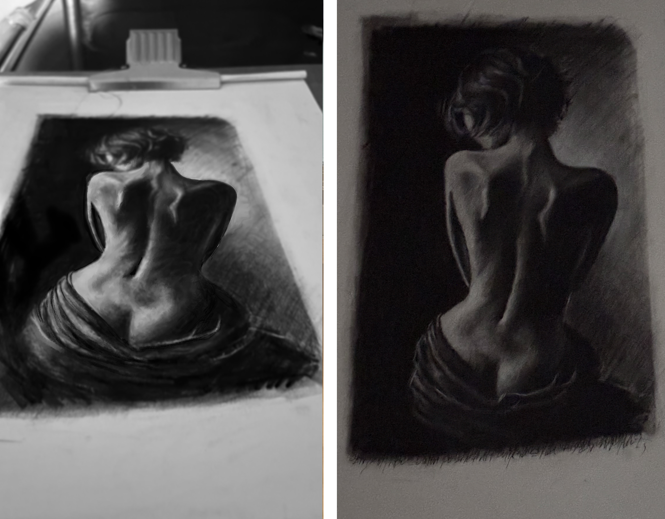 Fenchel – Aquarell